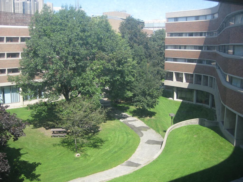 University Of Toronto - New College Residence - Wilson Hall Residence Kültér fotó